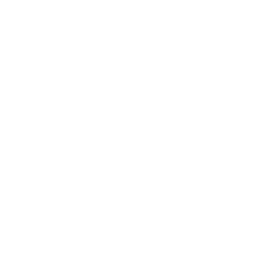 Finance Project Management
